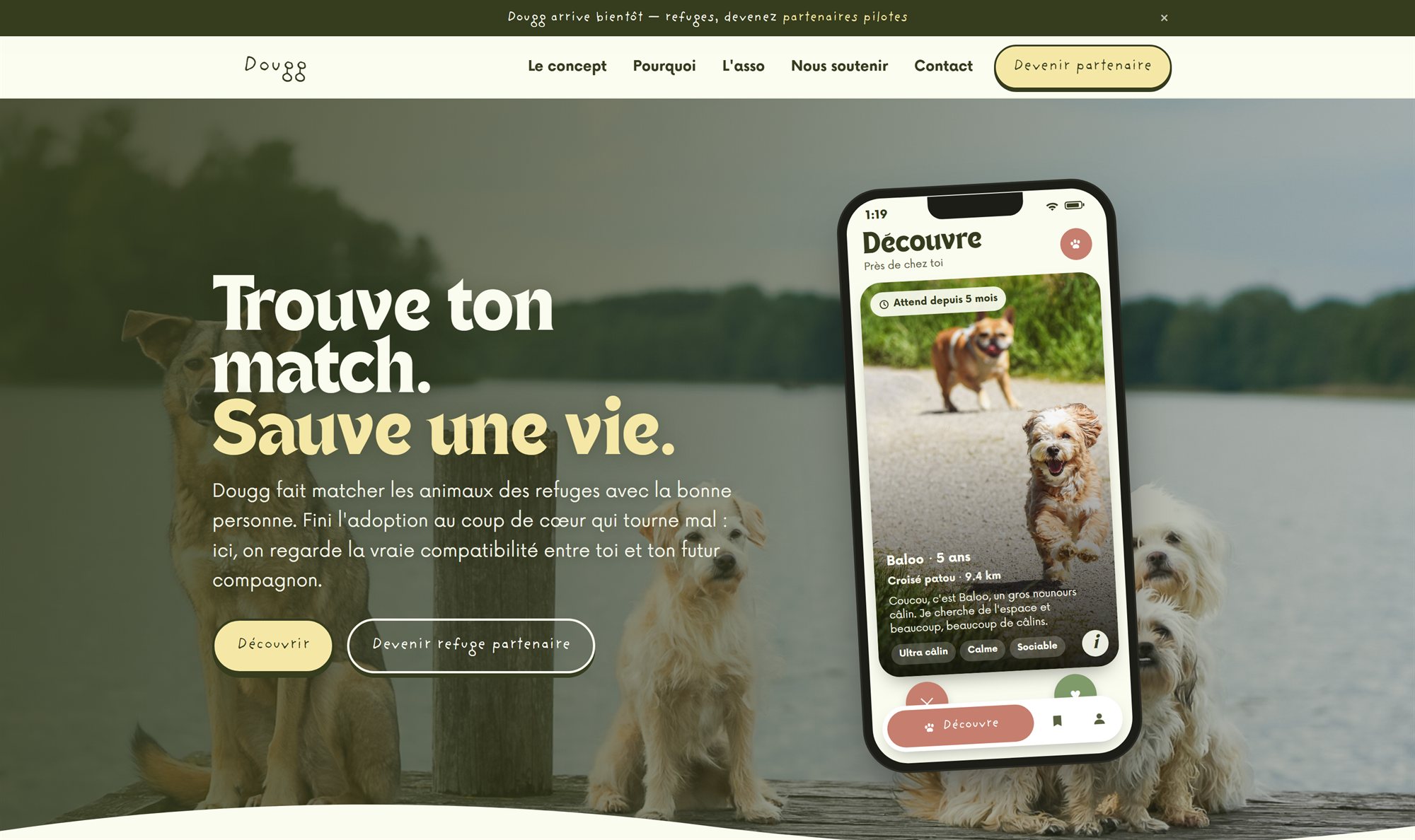 Page d'accueil du site Dougg